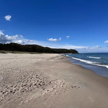 Baltic19 - Neu In *